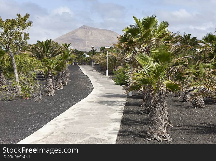 tropical garden in Lanzarote