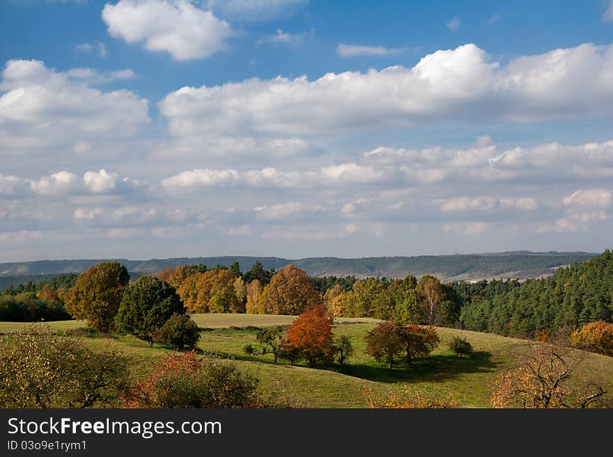 Landscape with trees and beautiful colored leaves. Landscape with trees and beautiful colored leaves