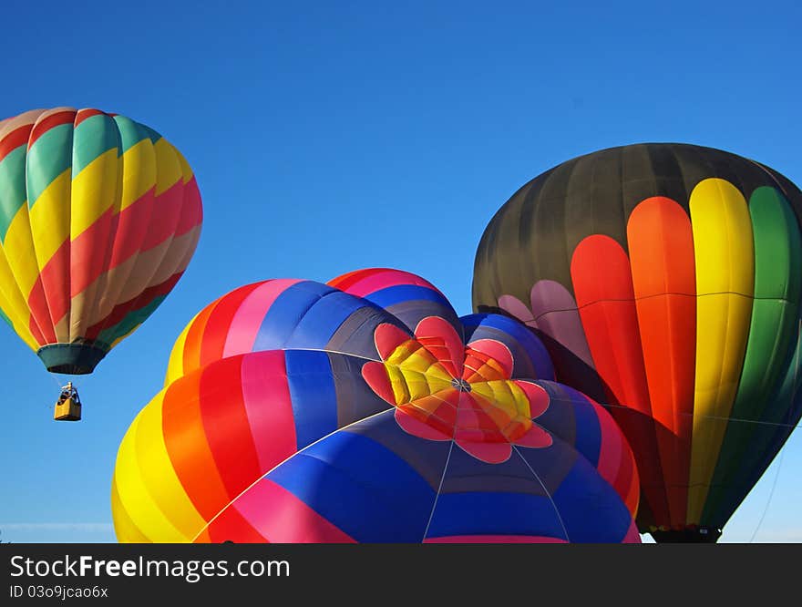 Bright colorful hot air balloons