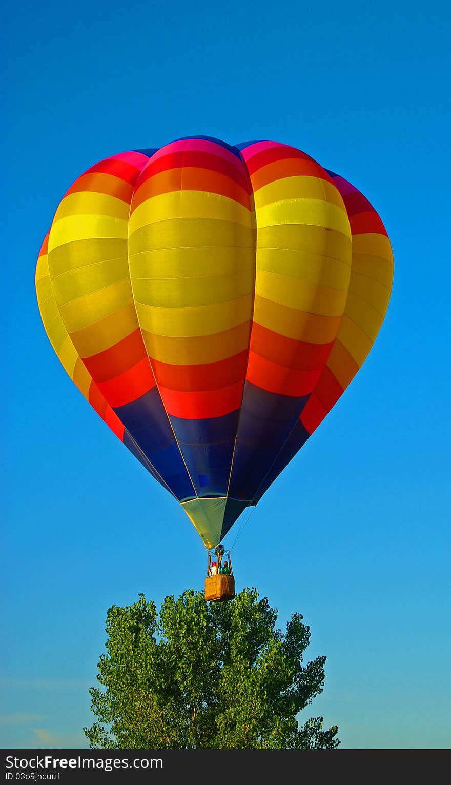 Hot Air Balloon In Flight