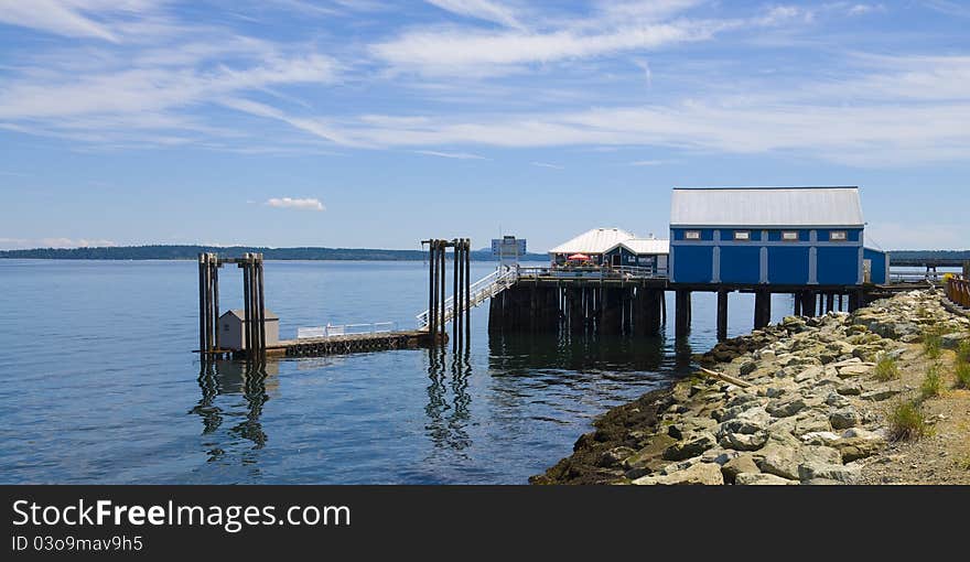 Resting Sea Gulls on Private Dock