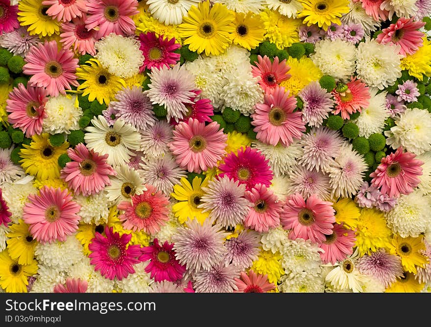 Flowers background