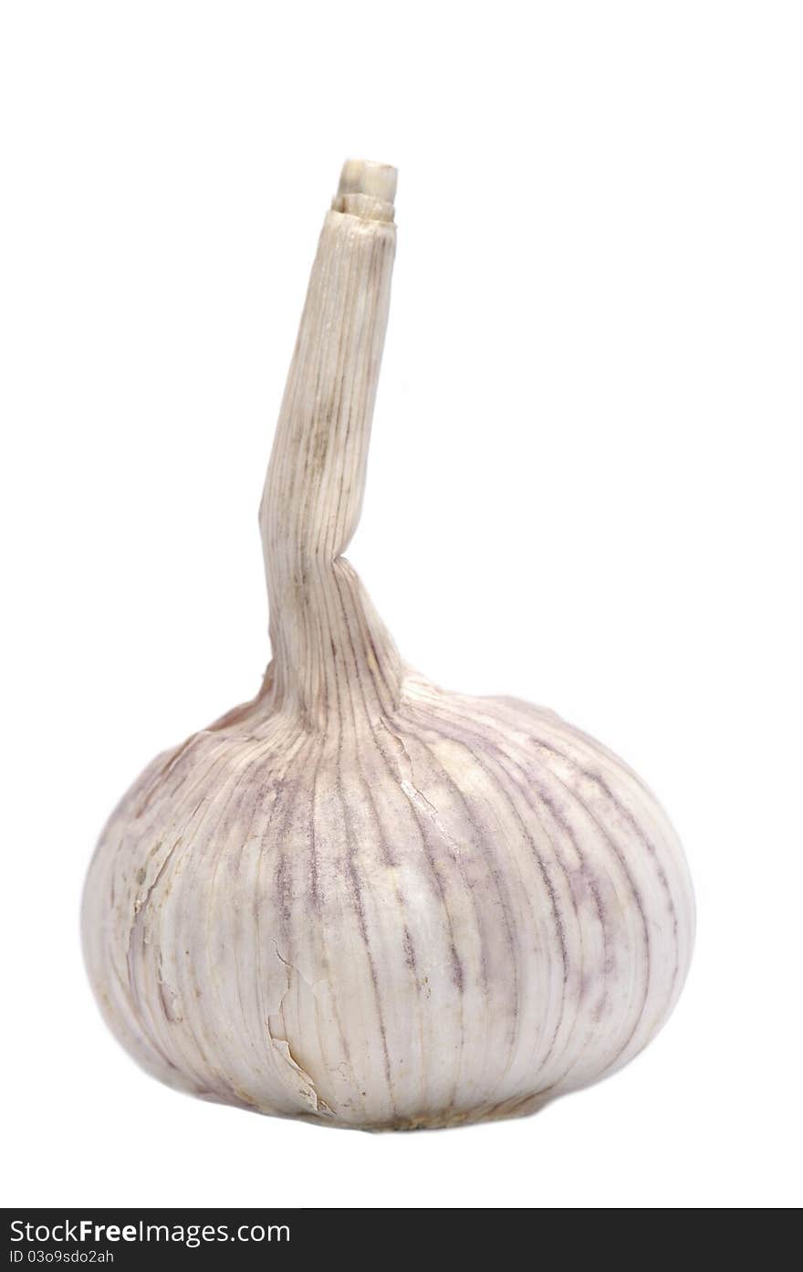 Single Garlic in white background