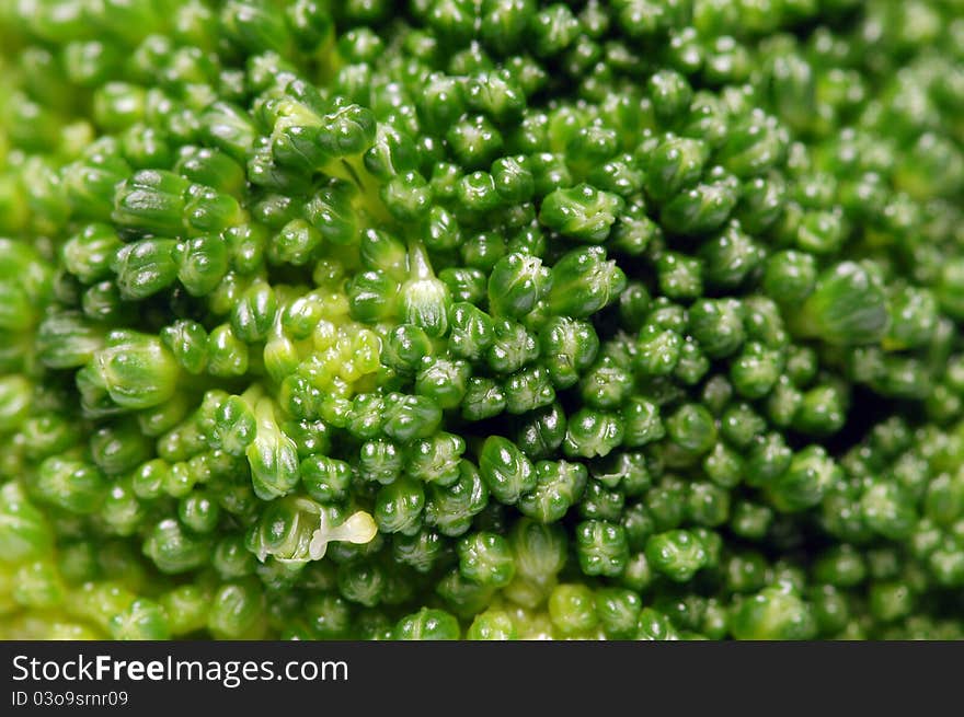 Broccoli flower macro, shallow DOF