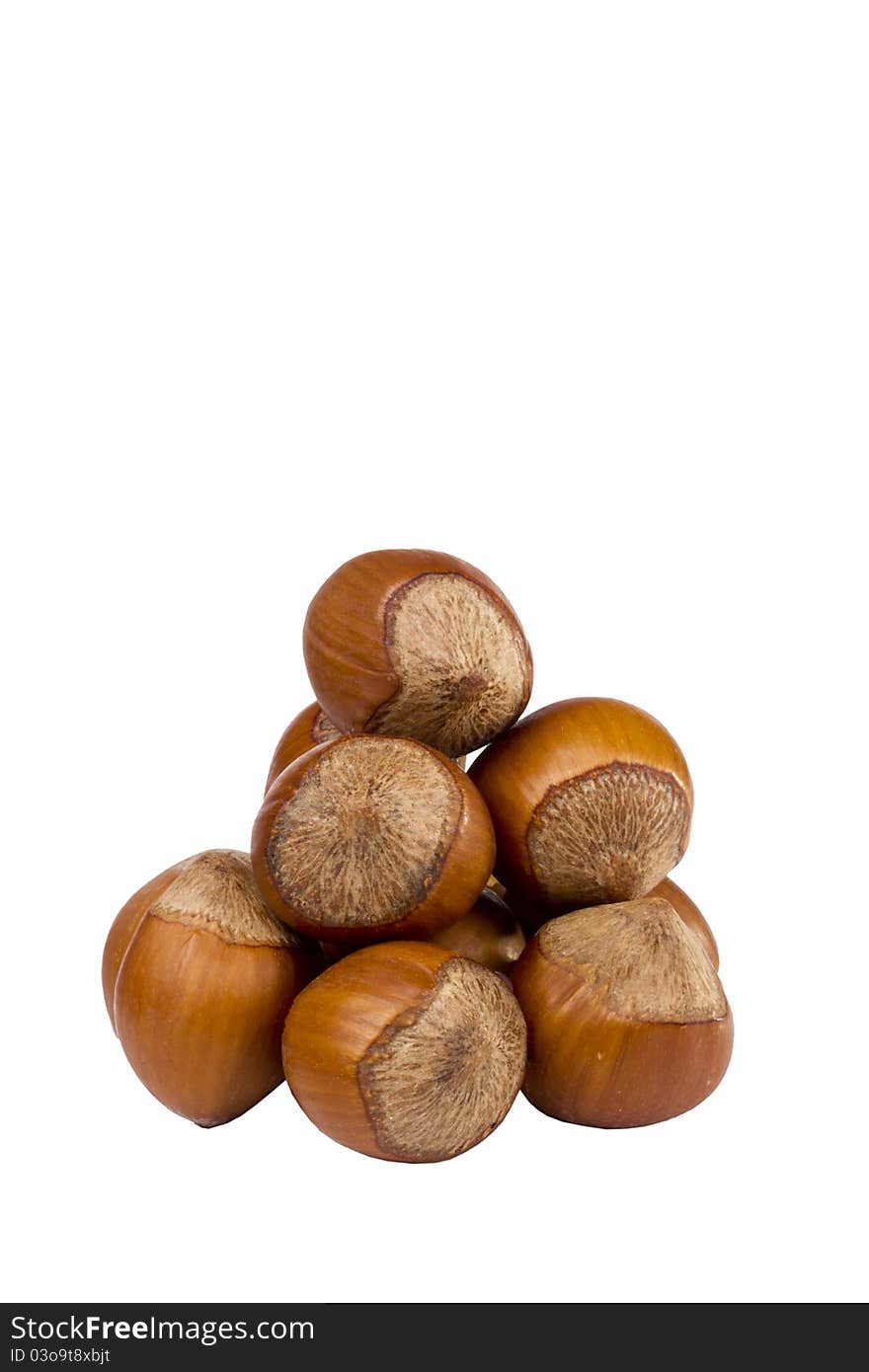 Brown Hazelnuts