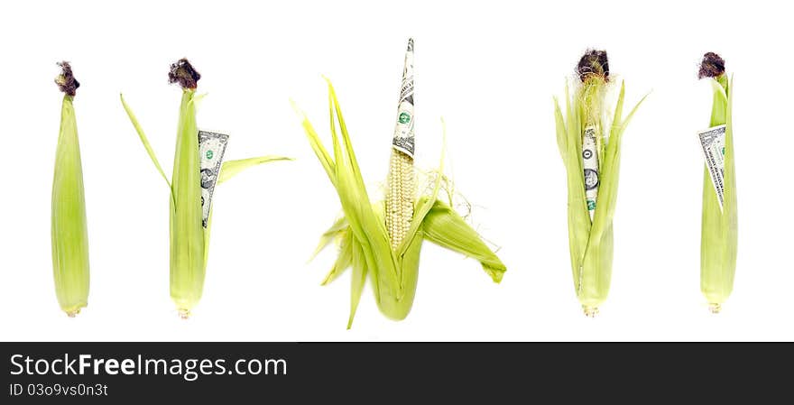 Variations of immature ear of corn and one dollar usa banknote on white background. Variations of immature ear of corn and one dollar usa banknote on white background.