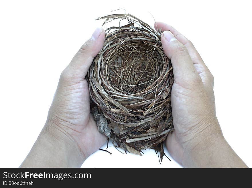 Two hand hold an old nest on white background. Two hand hold an old nest on white background.