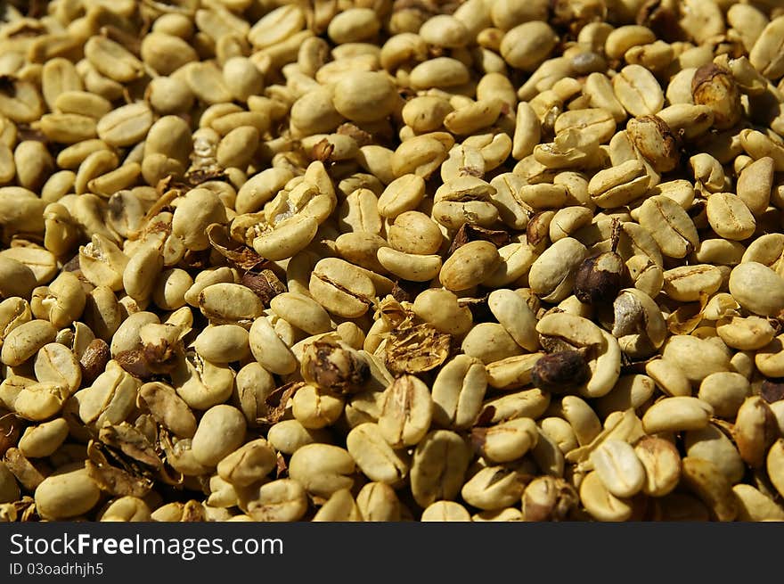 Coffee beans after harvest dried on the sun. Coffee beans after harvest dried on the sun