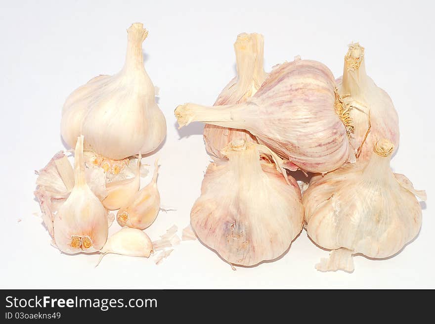 Garlic