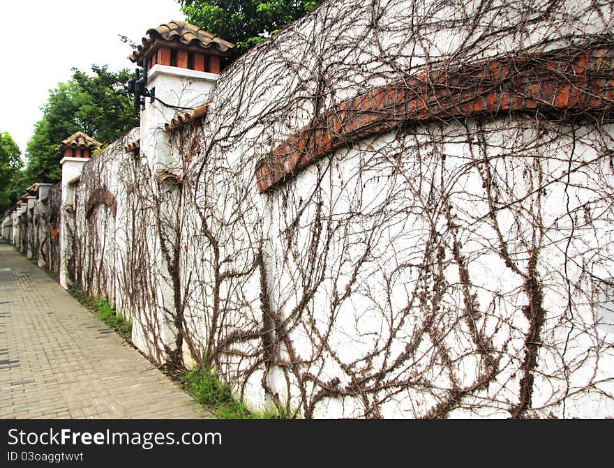 Picture be shot at pudong shanghai. it's a villa area , around it is the nice wall with the ivy on it .