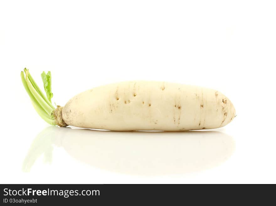 White radish on white background