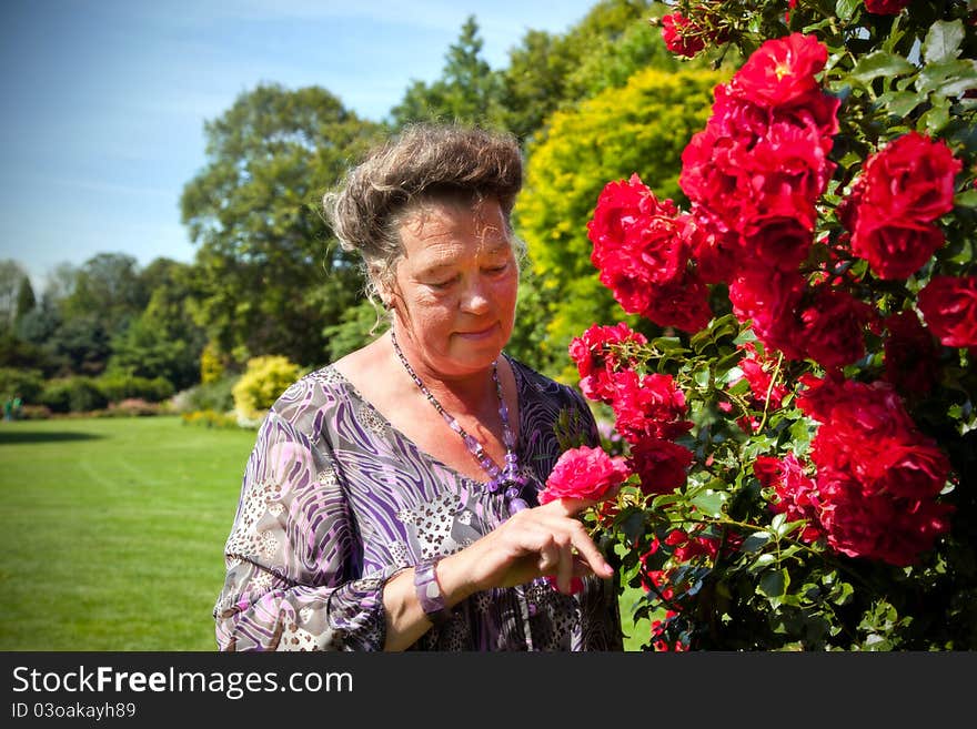 Old woman in garden with roses