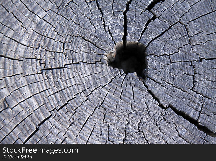 Closeup of wood texture, looks very old