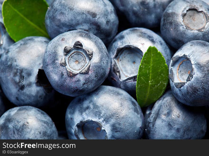 Blueberries with leaves occupies the entire frame area.