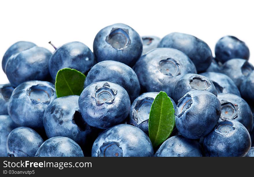 Blueberries with leaves