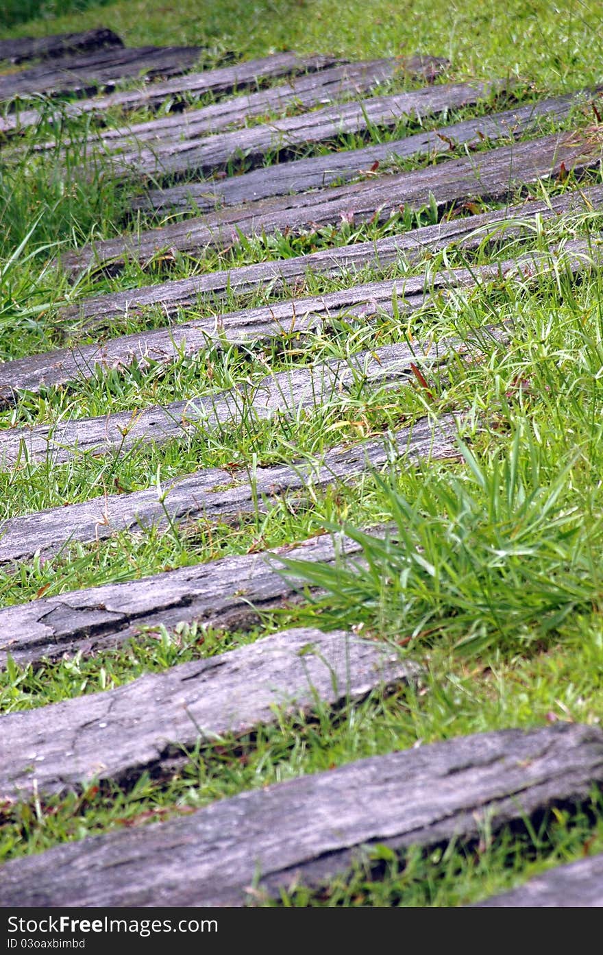 A curvaceous foothpath made of concrete blocks across the grass