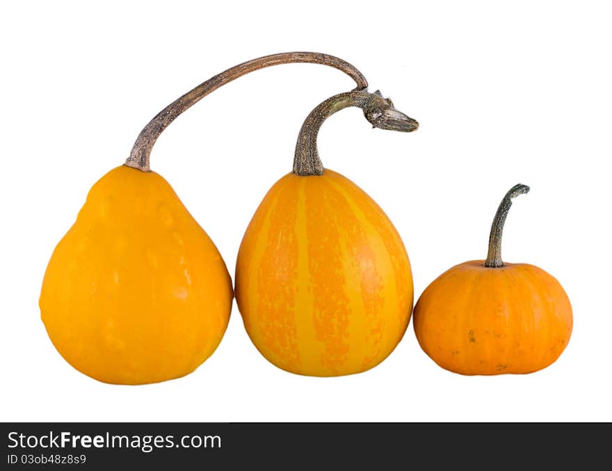 Three Yellow Pumpkins