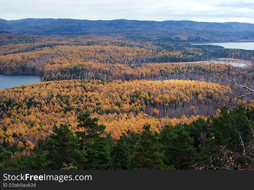 Taiga With Lakes