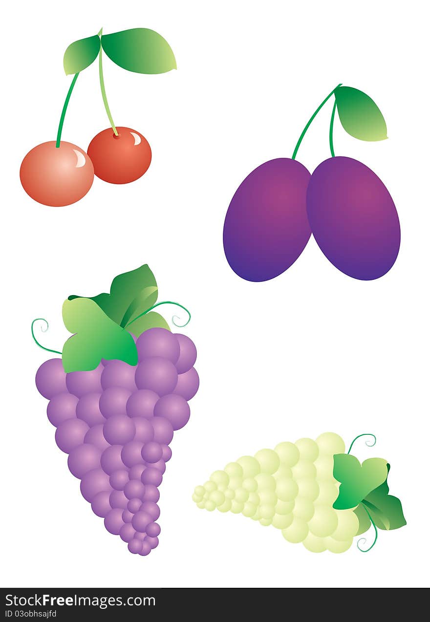 A vector illustration of pair of cherries, plums and grapes. A vector illustration of pair of cherries, plums and grapes