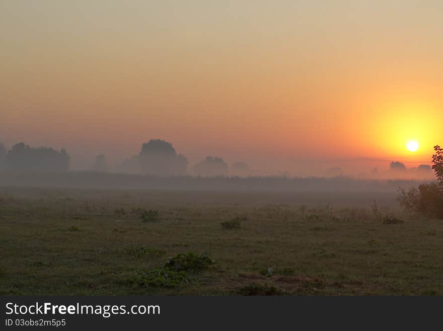 Dawn on a meadow in the mist. Dawn on a meadow in the mist