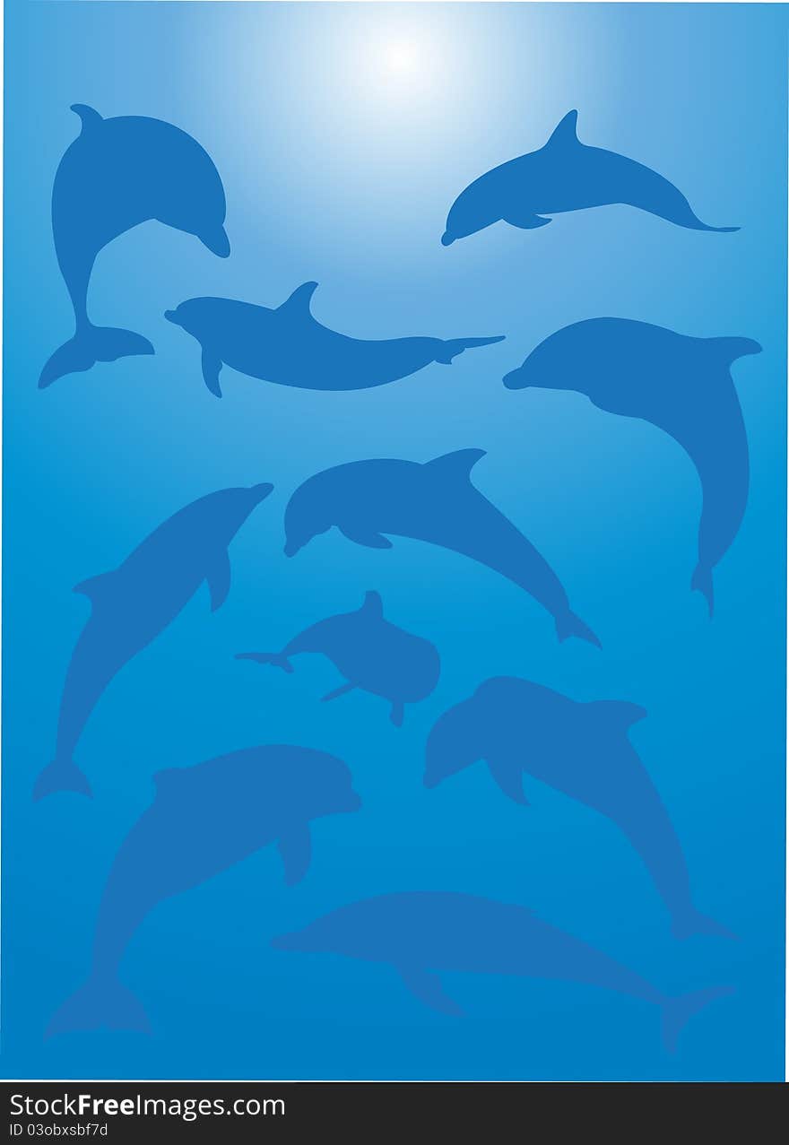 Dolphins