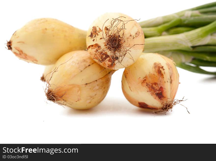 Onion on a white background