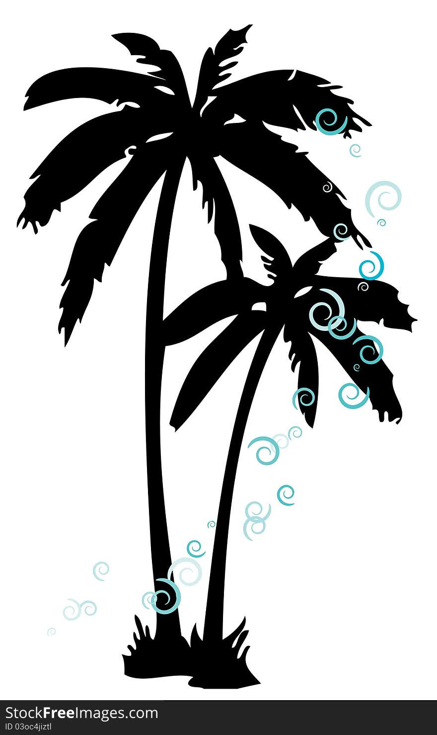 Two tropical palm with curls. Two tropical palm with curls.