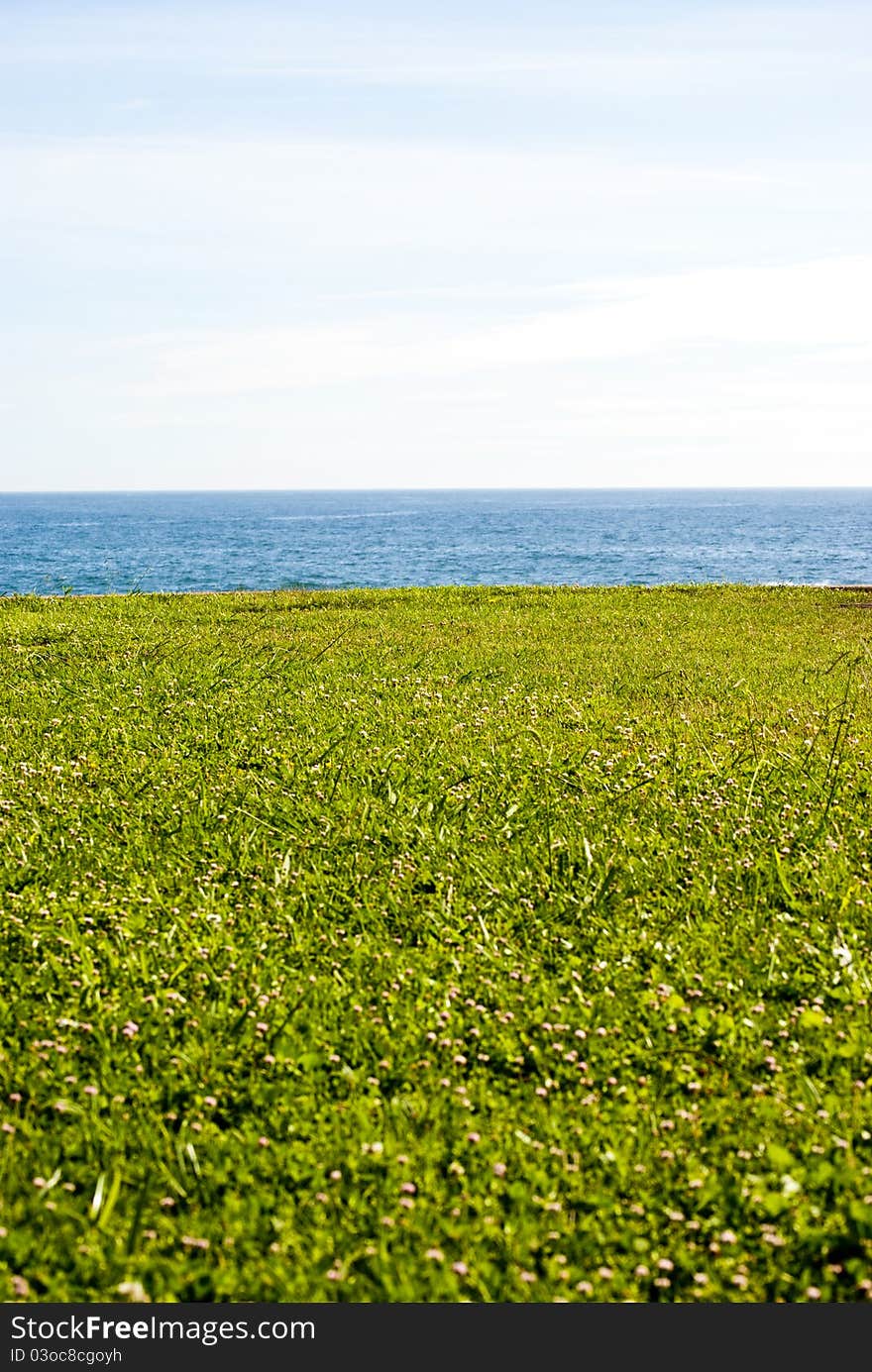 Grass and sea