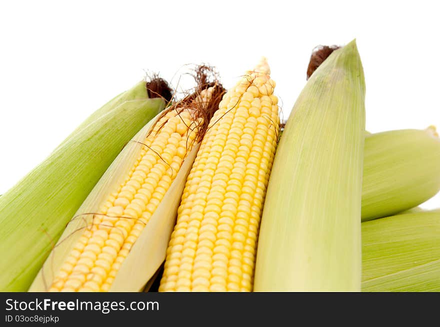 Maize on a white background