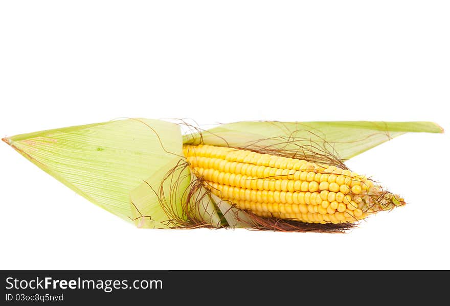 Fresh corn on a white background