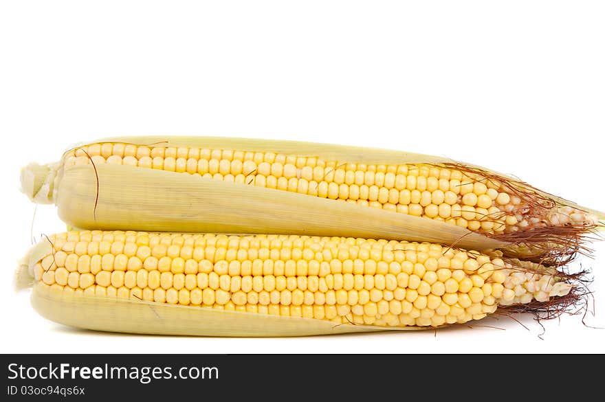 Fresh corn on a white background