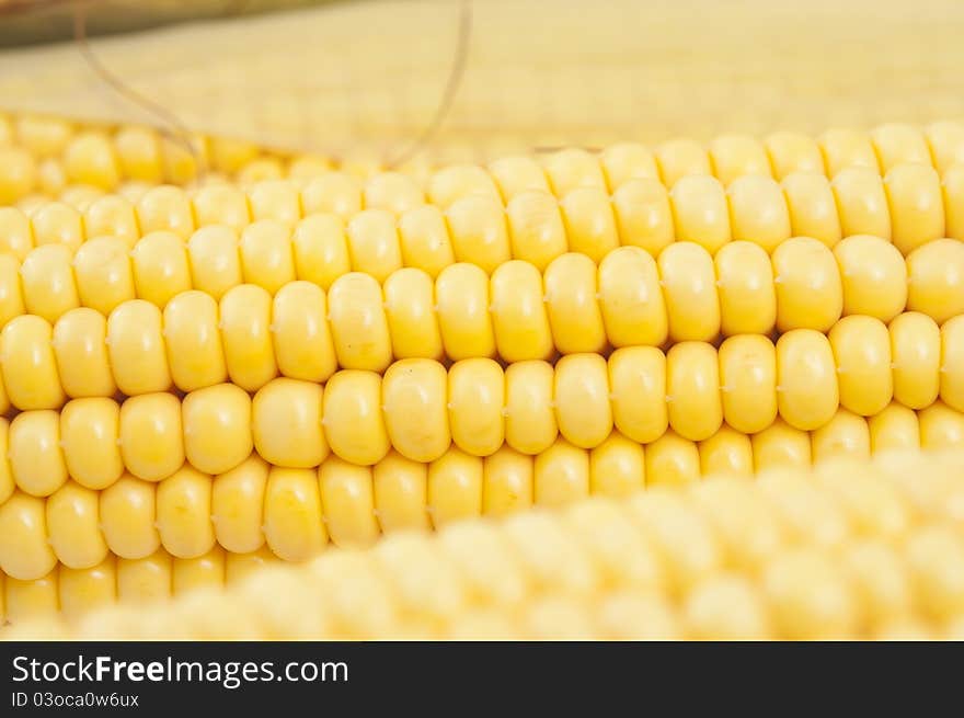 Closeup of corn on the cob