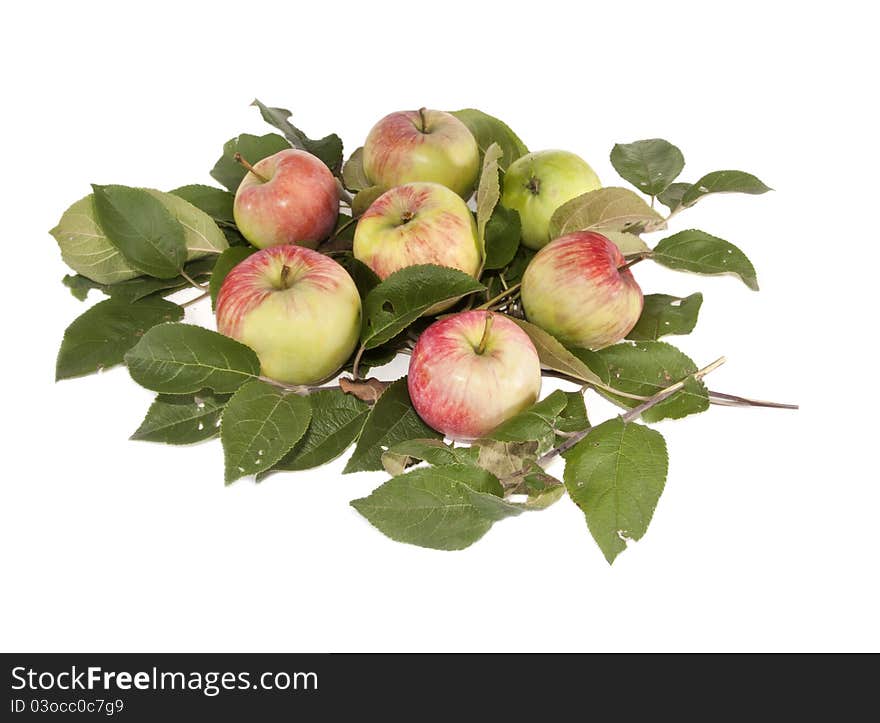 Apples On Leaves