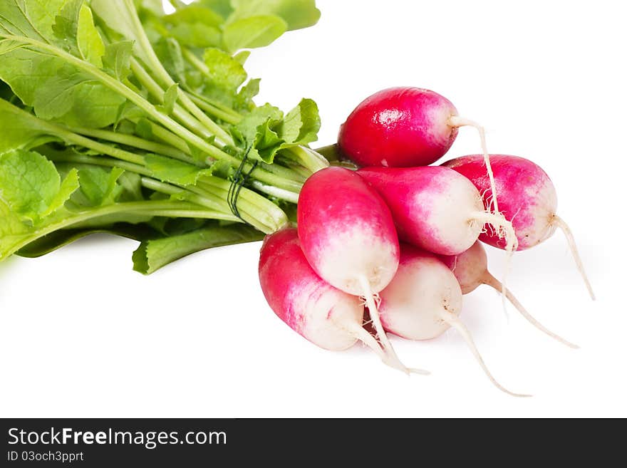 A bunch of fresh garden radishes over white background