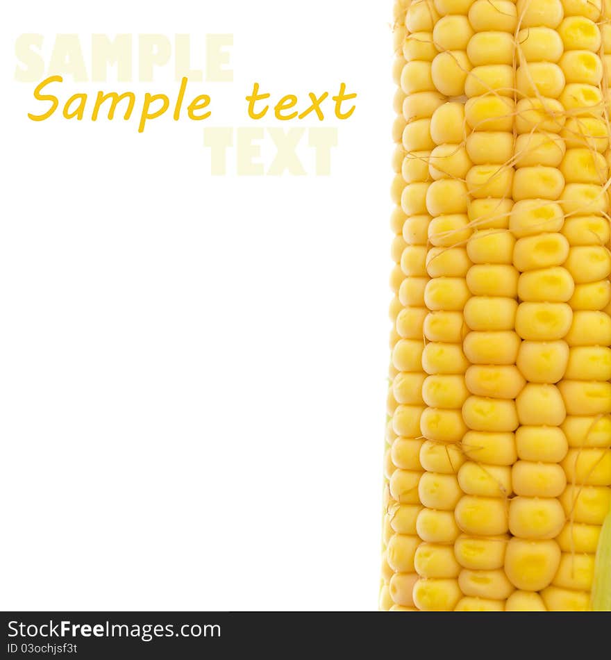 Yellow corn on white (with sample text)