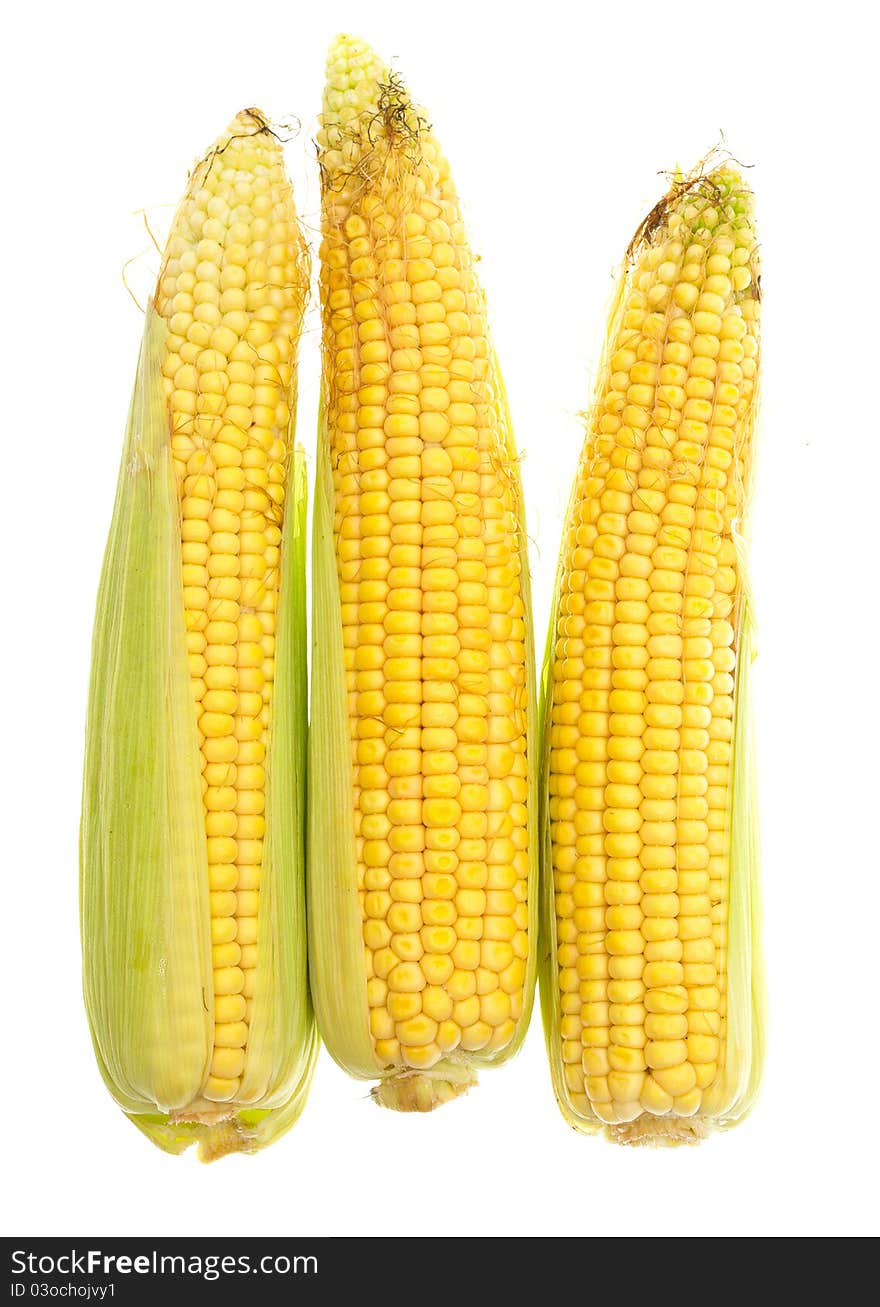 Three yellow corn cob on a white