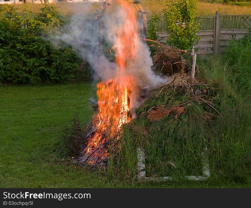 Burning weed in the garden flame fire. Burning weed in the garden flame fire