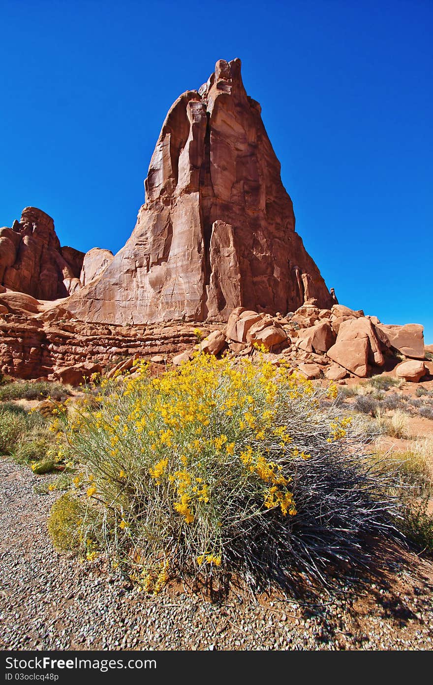 View of the rock formations and wild flowers in the Arches National Park, UT. View of the rock formations and wild flowers in the Arches National Park, UT