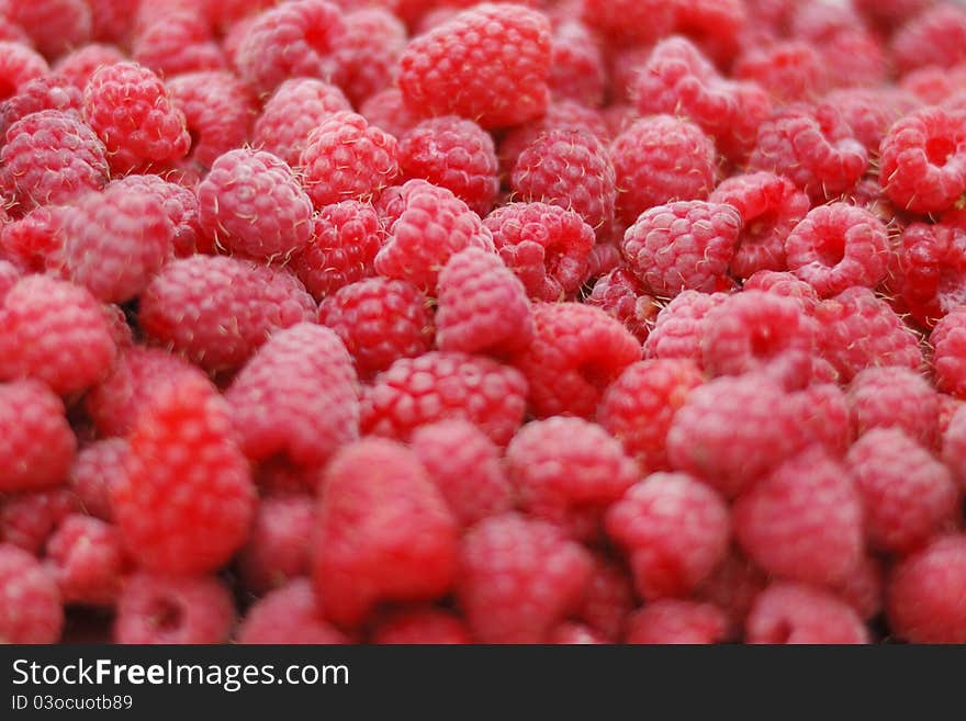 Raspberry; a lot of berries;background