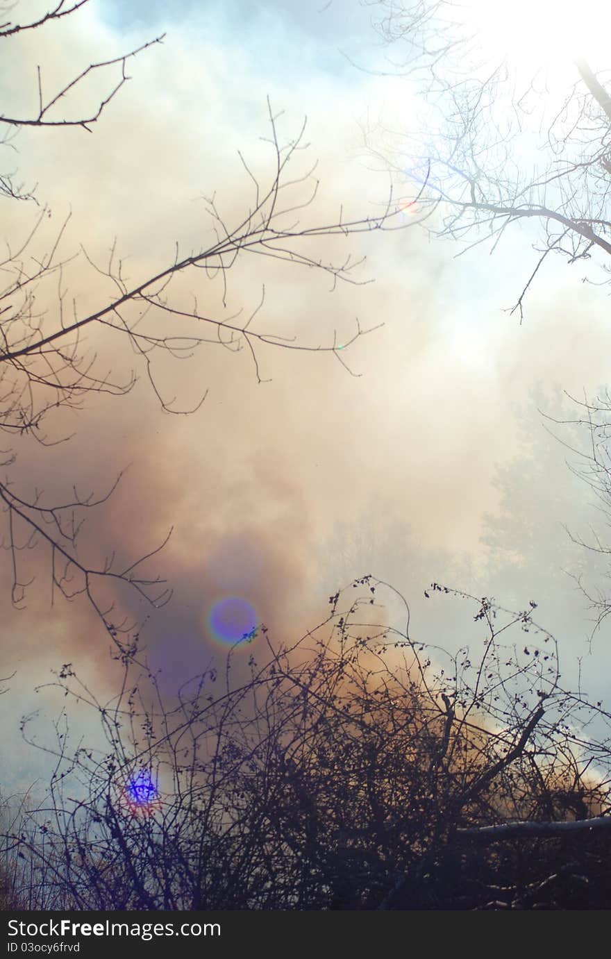 Into the winter skies smoke rises from a controlled woodland burn. Into the winter skies smoke rises from a controlled woodland burn.