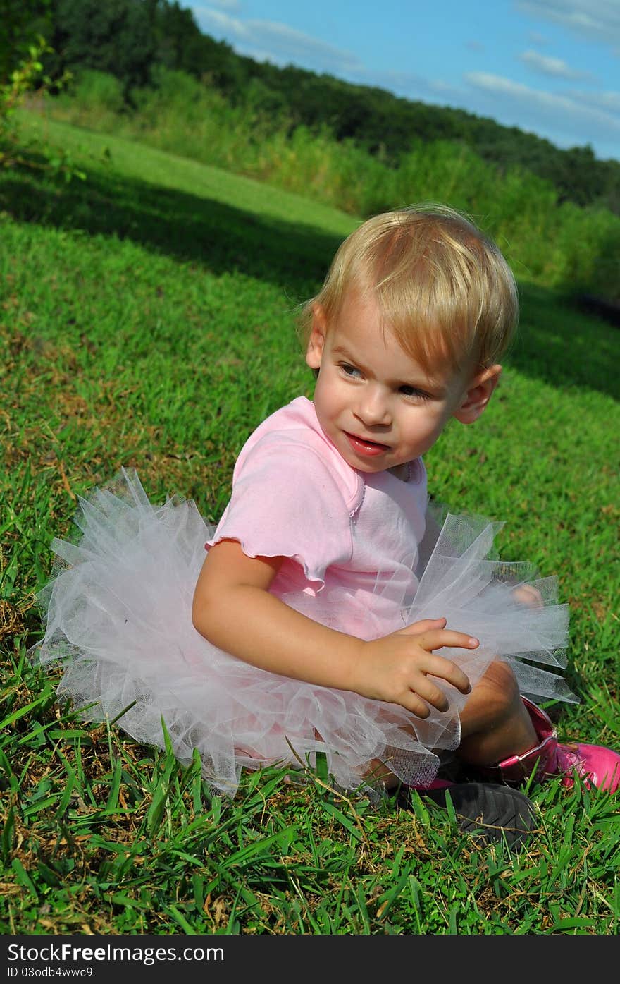 Color photograph of a baby girl in a pink tutu. Color photograph of a baby girl in a pink tutu