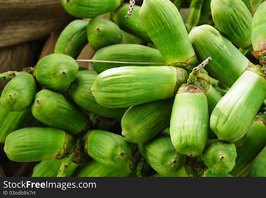 Green coconut at tree