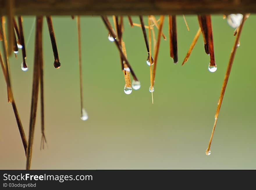 Drops of water from the roof