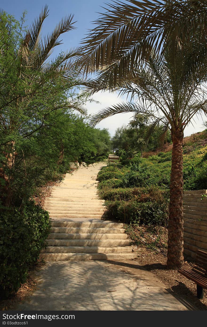 The landscape inside the Azhar park in Cairo Egypt