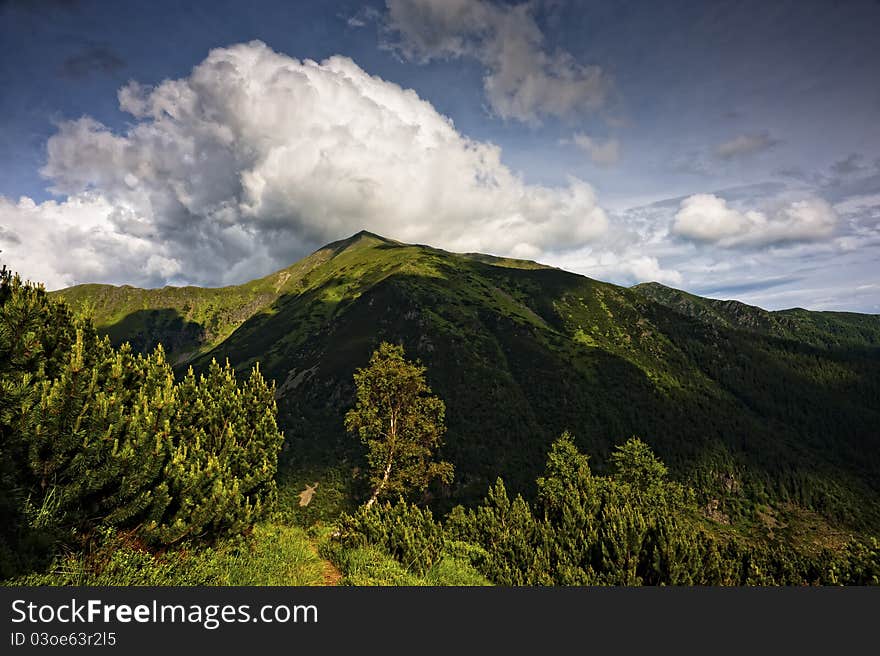 Summer mountains