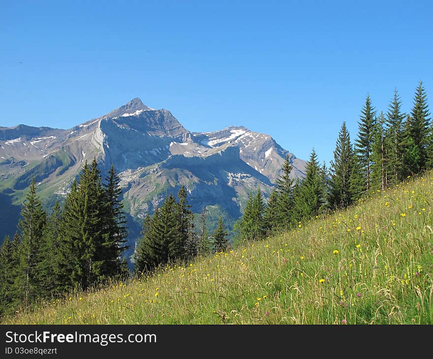 Oldenhorn in the summer