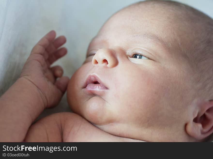 Newborn lying comfortable