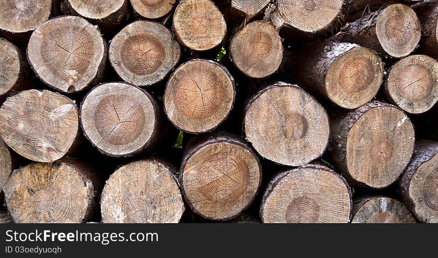 Wooden logs making a pattern. Wooden logs making a pattern