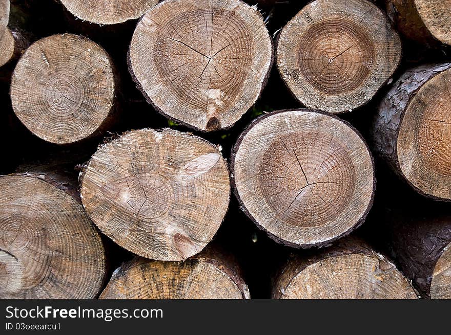 Closeup of pile of wood logs