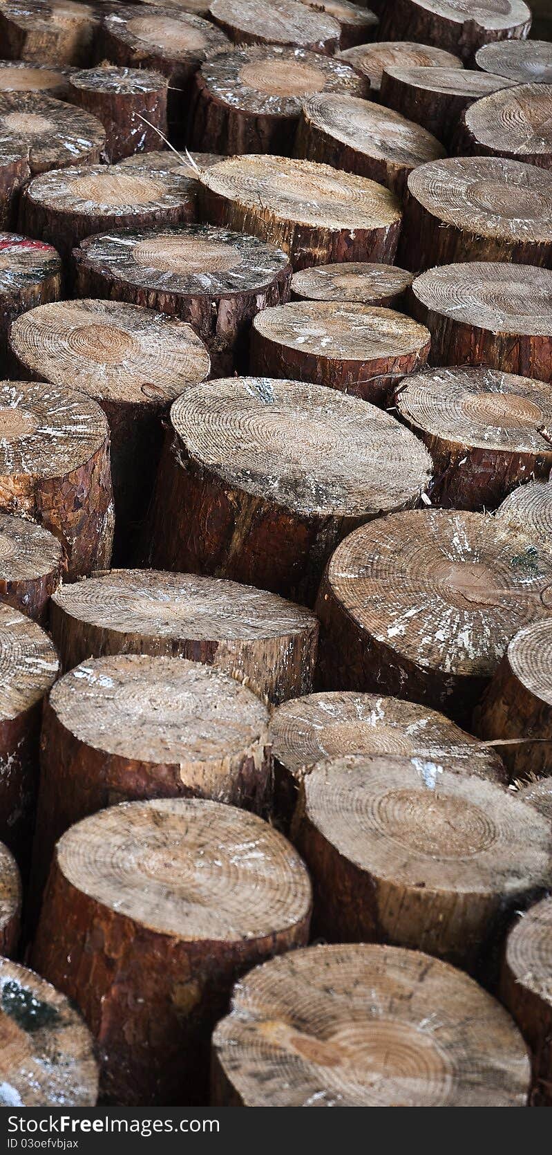 Wooden logs